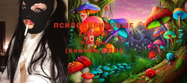 бошки Осташков
