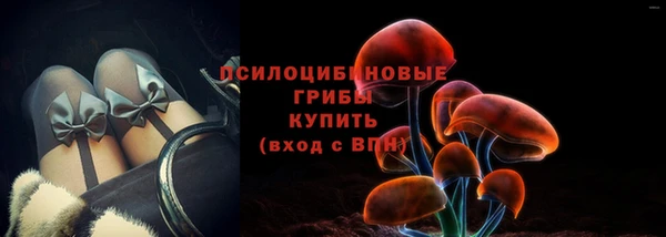 2c-b Осинники
