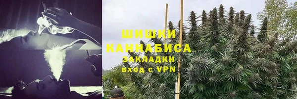 мяу мяу кристалл Переславль-Залесский